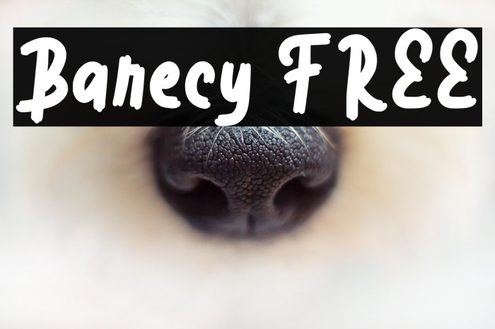 Barecy FREE Example 1