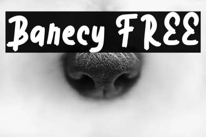 Barecy FREE Example 1