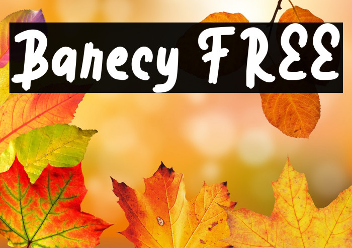 Barecy FREE Example 2