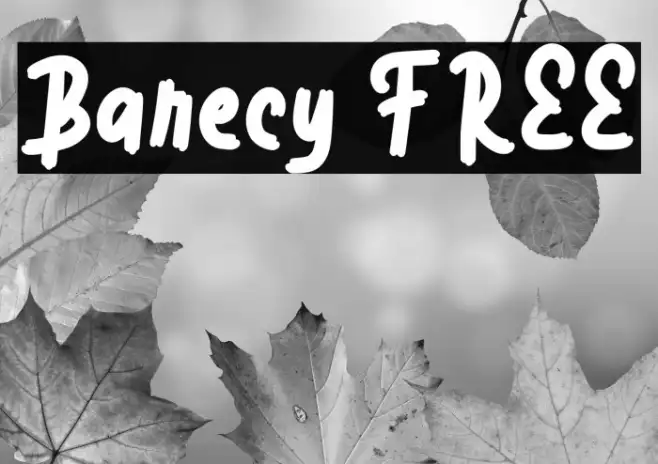 Barecy FREE Example 2