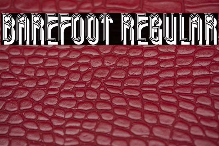 Barefoot Regular Example 1