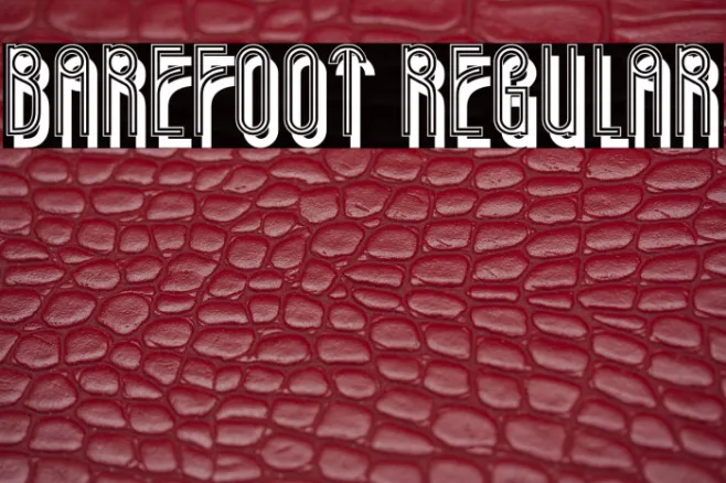 Barefoot Regular Example 1