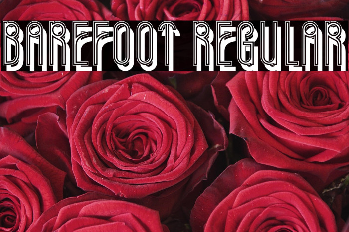Barefoot Regular Example 2
