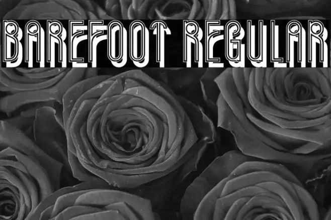 Barefoot Regular Example 2