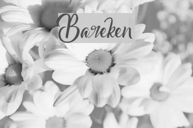 Bareken Font examples
