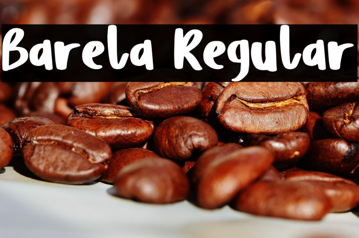 Barela Regular Example 1