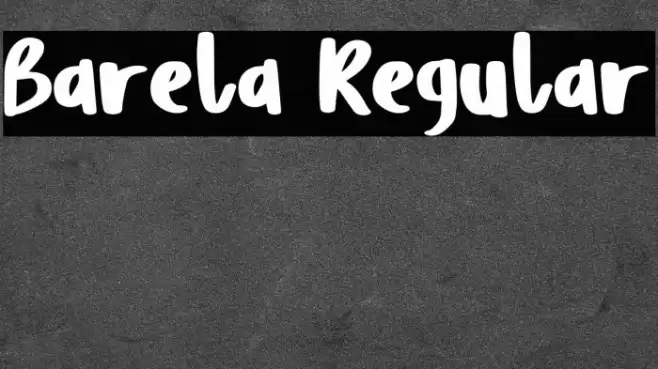 Barela Regular Font examples