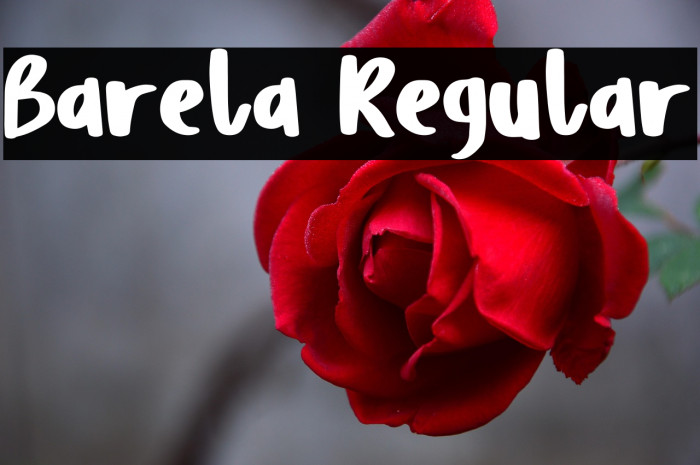 Barela Regular Example 3