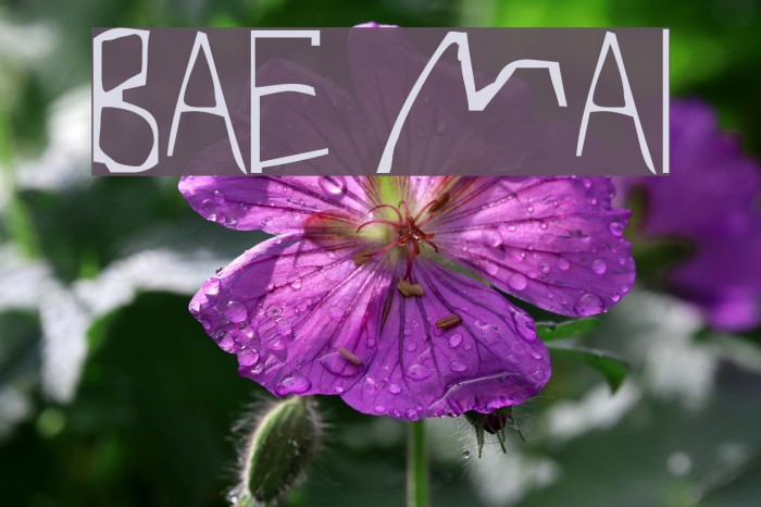 Barely Manilow Font examples