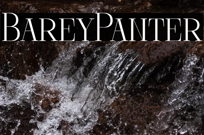 Barely Painter Example 1