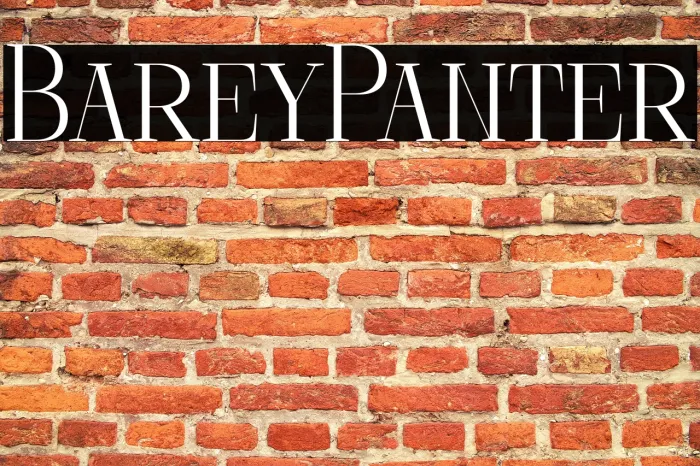 Barely Painter Example 2