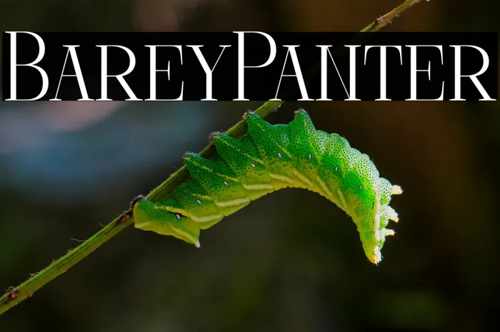 Barely Painter Example 3