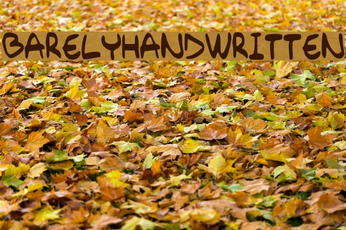 Barely_Handwritten Font examples