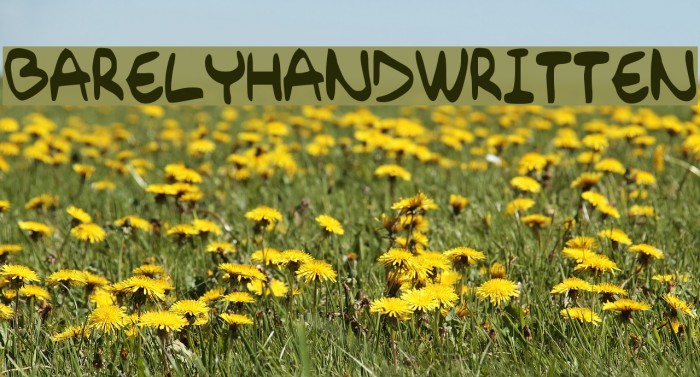 Barely_Handwritten Font examples