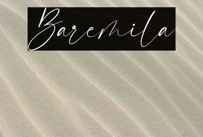 Baremila Example 1