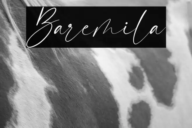 Baremila Font examples