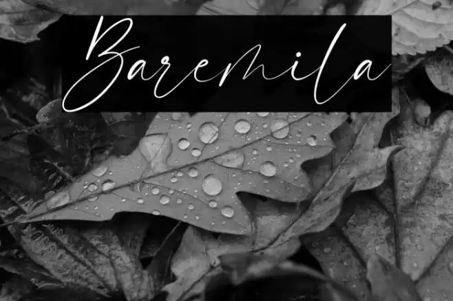 Baremila Font examples