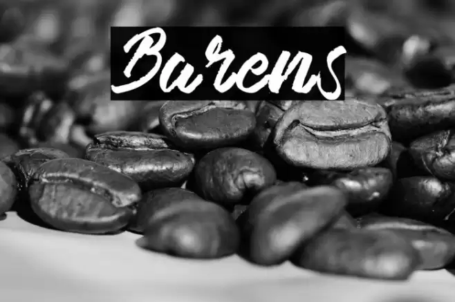 Barens Font examples