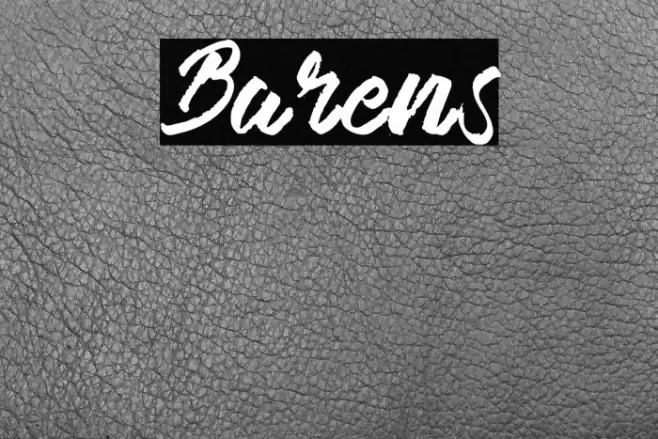 Barens Font examples