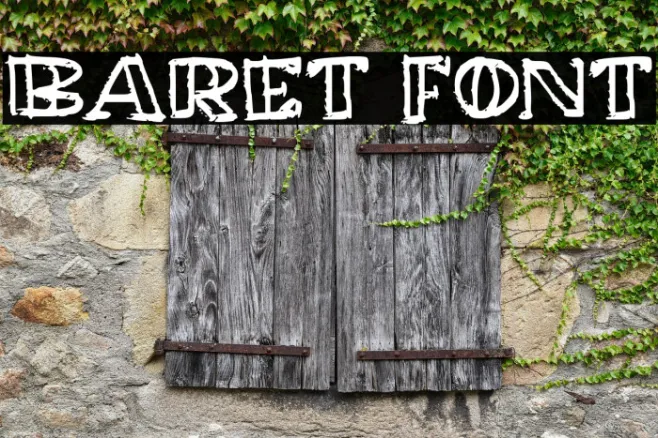 Baret Example 1