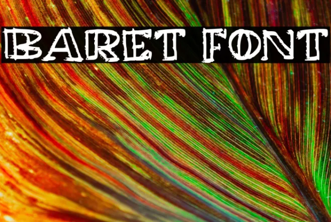 Baret Example 2