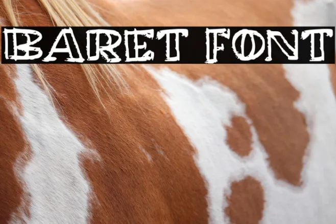 Baret Example 3