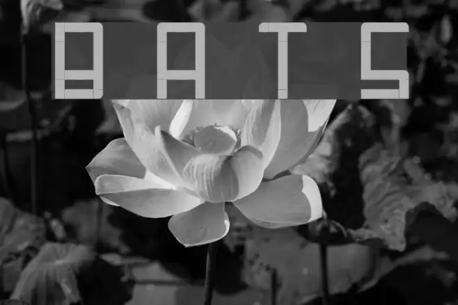 Barf At The Supermarket Font examples