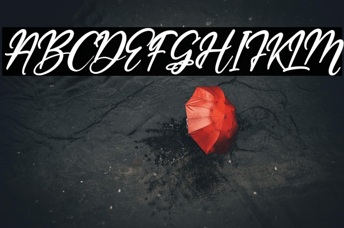 Barfield Lady Italic Example 2