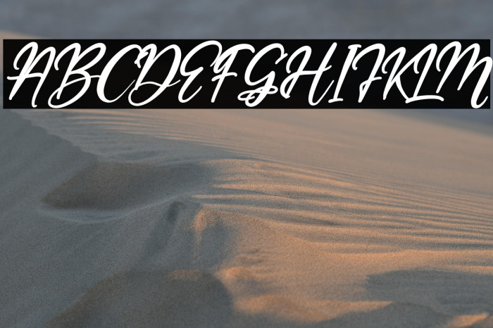 Barfield Lady Italic Example 3