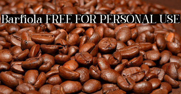 Barfiola FREE FOR PERSONAL USE Example 2