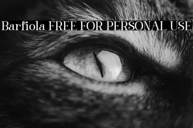 Barfiola FREE FOR PERSONAL USE Font examples