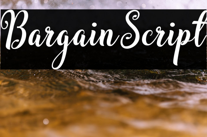 BargainScript Example 3
