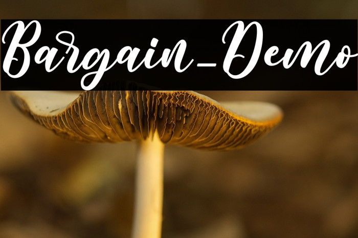 Bargain_Demo Example 1