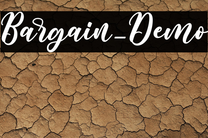 Bargain_Demo Example 2