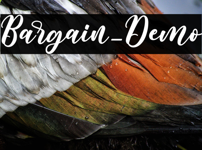 Bargain_Demo Example 3