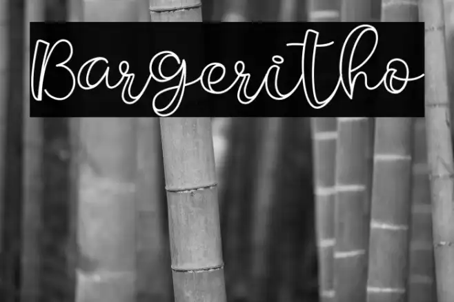 Bargeritho Example 1