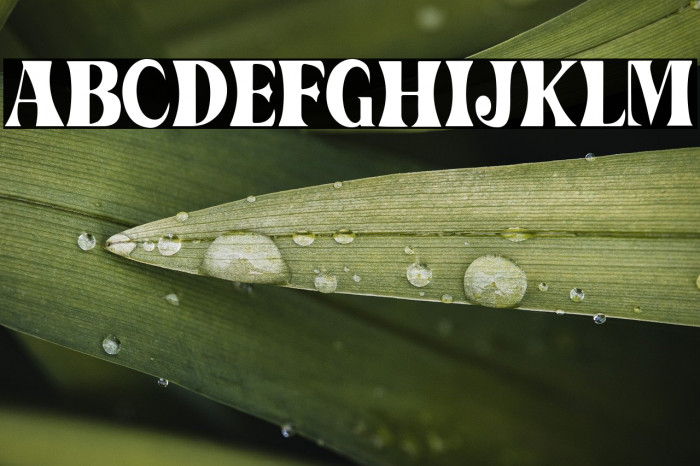 Barges (Demo) Example 2