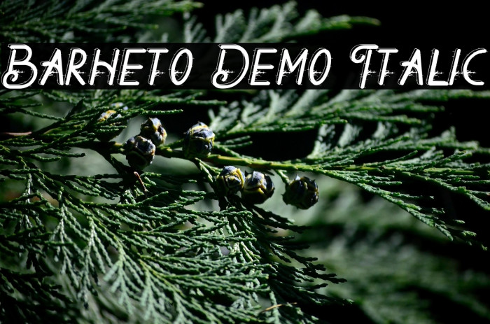 Barheto Demo Italic Example 2