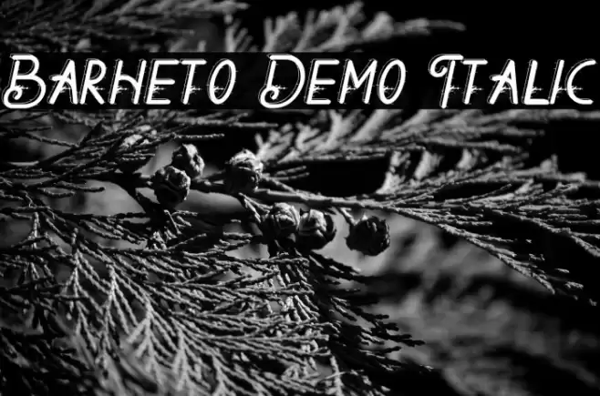 Barheto Demo Italic Шрифта examples