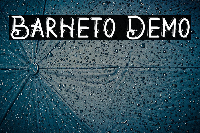 Barheto Demo Example 1