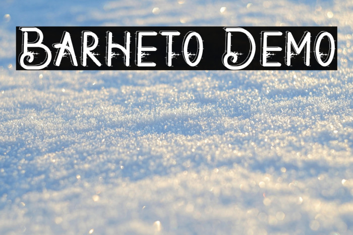 Barheto Demo Example 2