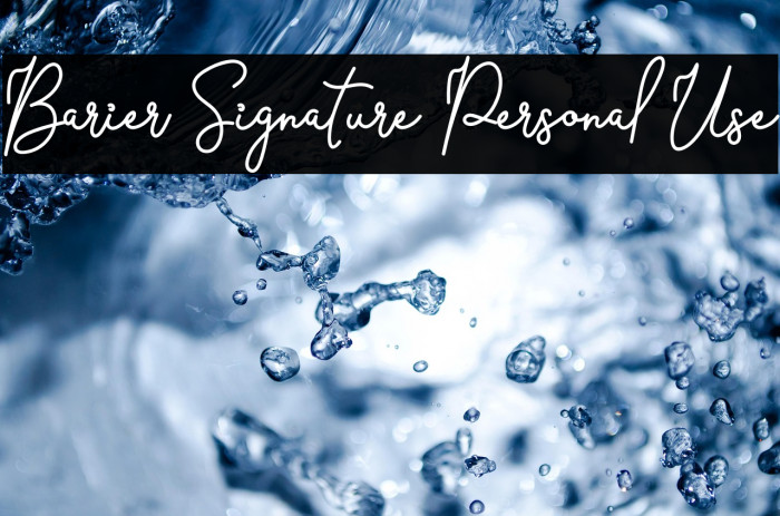 Barier Signature Personal Use Example 1