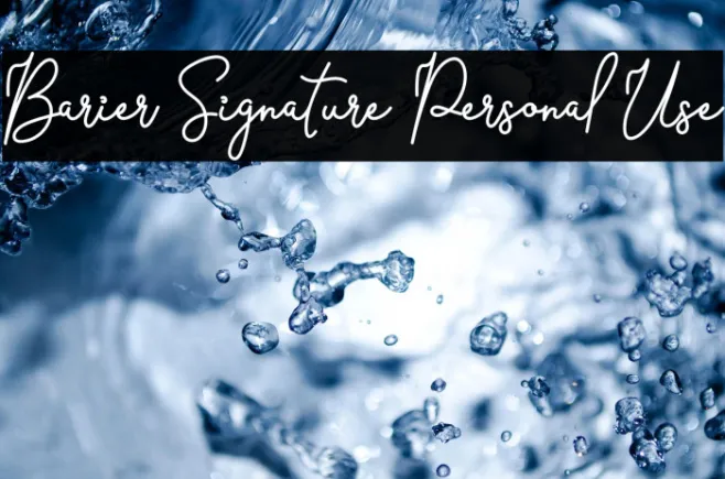 Barier Signature Personal Use Example 1
