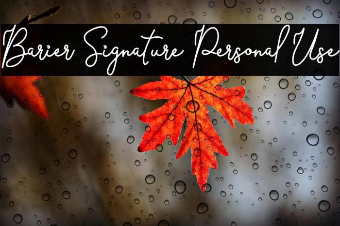Barier Signature Personal Use Example 2