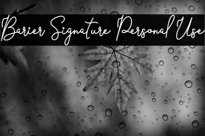 Barier Signature Personal Use Example 2