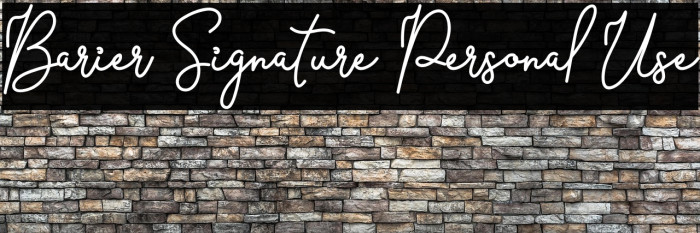 Barier Signature Personal Use Example 3