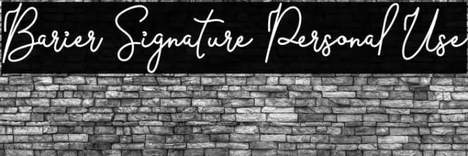 Barier Signature Personal Use Example 3