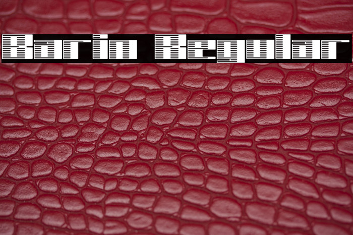 Barin Regular Example 1