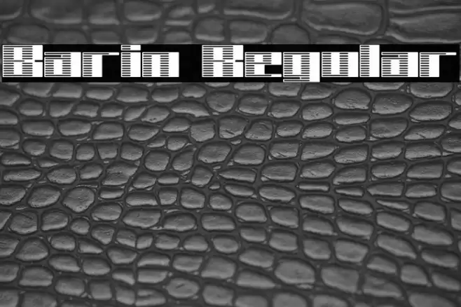 Barin Regular Font examples