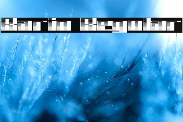 Barin Regular Example 3